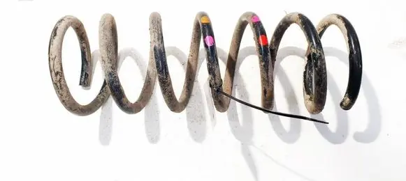 Ford Grand C-MAX Rear coil spring 