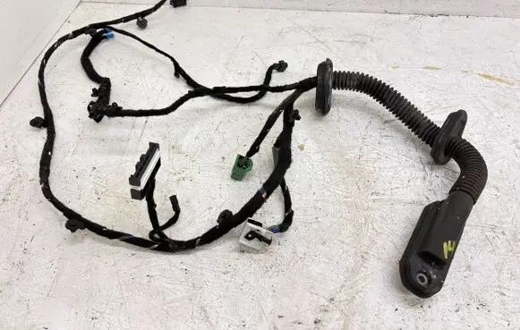 BMW 7 E65 E66 Front door wiring loom 6934010 13318810