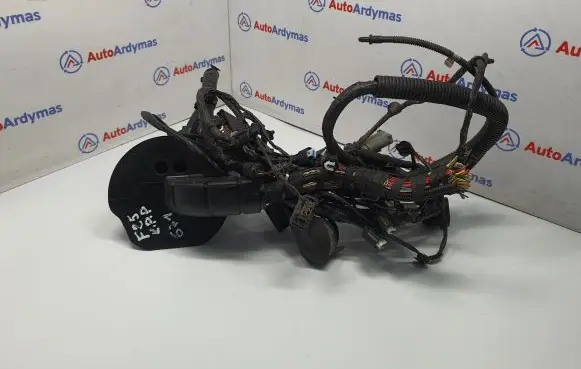 BMW X3 F25 Other wiring loom 9252431 61119252431