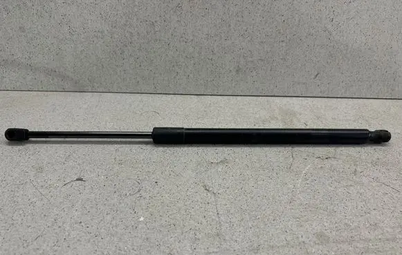 Tailgate/trunk strut/damper