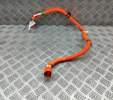 Lexus RZ Other wiring loom 821H442010