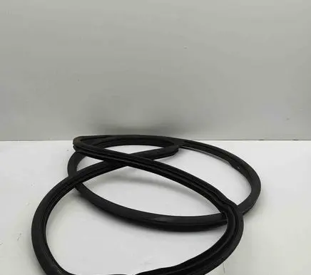 Hyundai Santa Fe Rubber seal front door (on door) 