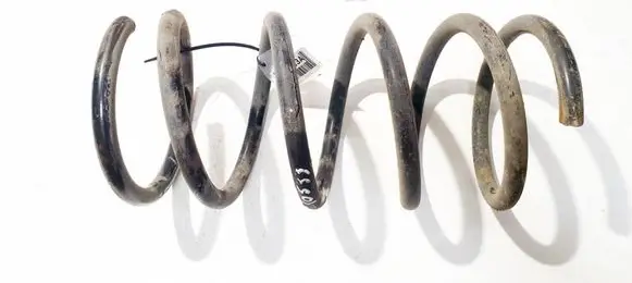 Rear coil spring