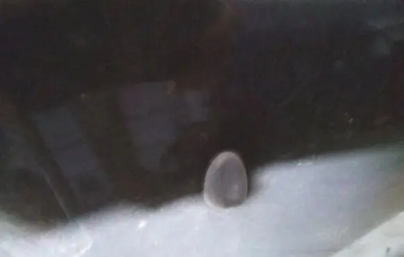 Windshield washer spray nozzle
