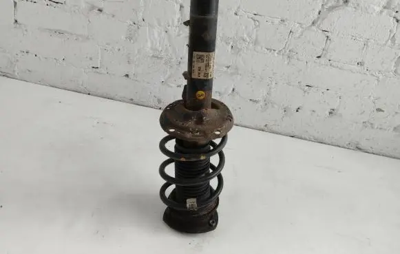 Volkswagen Passat Alltrack Front shock absorber with coil spring 3Q0413031CC W48SZZV47XC 824904010303