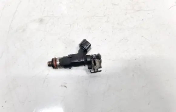 Citroen C5 Fuel injector 0280158041
