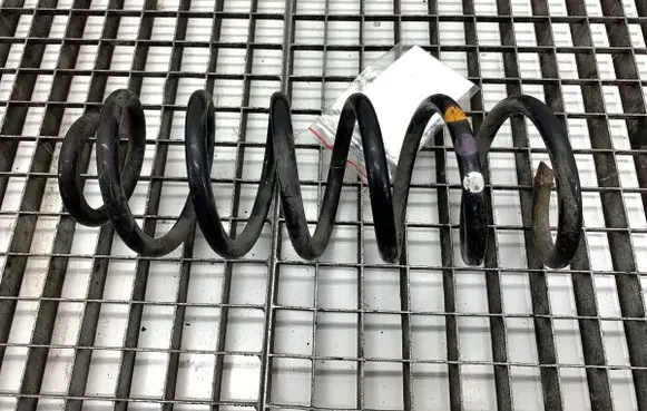 Volkswagen PASSAT B7 Rear coil spring 