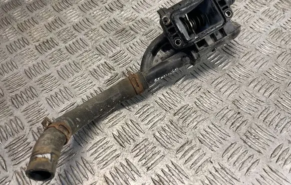 Thermostat/thermostat housing