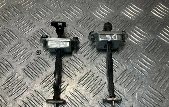 Nissan Juke I F15 Rear door check strap stopper 
