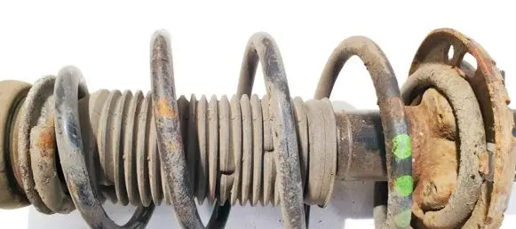 Front coil spring
