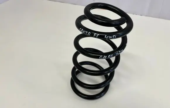 Hyundai Santa Fe Rear coil spring 18960 1396067