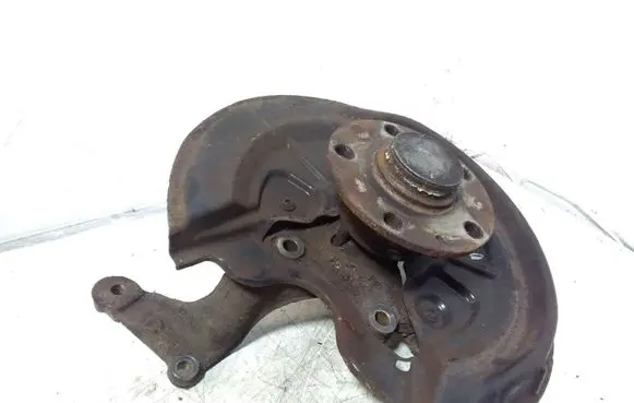 Volkswagen Golf VI Rear wheel hub spindle/knuckle 