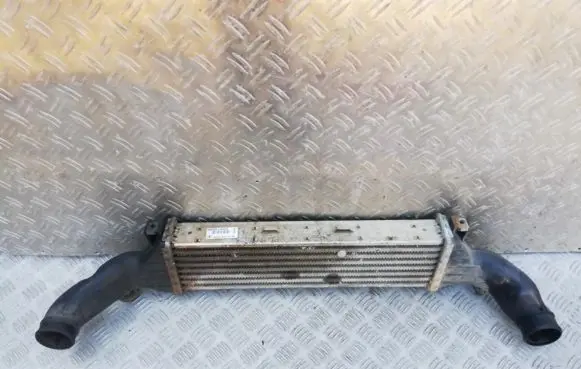 Mercedes-Benz C W202 Intercooler radiator a2025001100