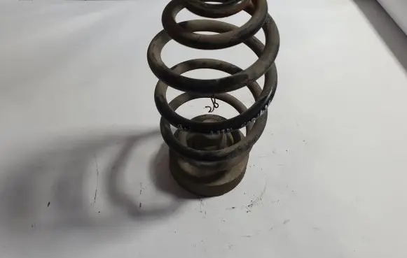 Volkswagen PASSAT B6 Rear coil spring