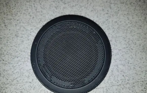 Panel speaker