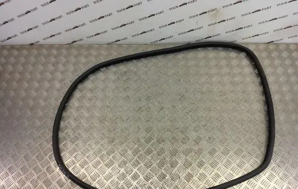 BMW 5 F10 F11 Rubber seal rear door 4127