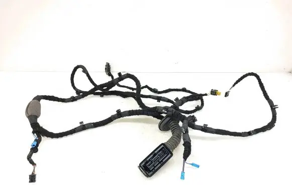 BMW i4 Front door wiring loom