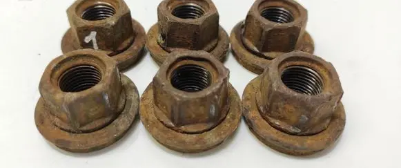 Nuts/bolts