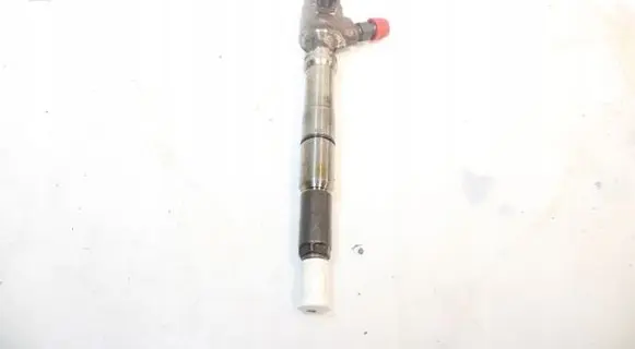 Skoda Fabia Mk2 (5J) Fuel injector