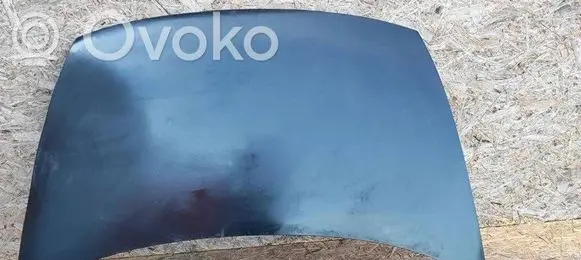 Engine bonnet/hood