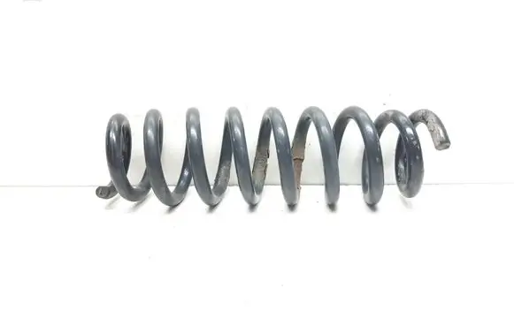 Rear coil spring