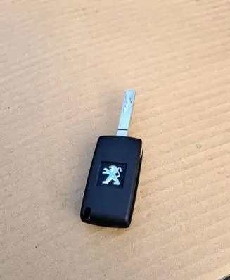 Peugeot 1007 Ignition key/card 