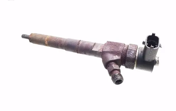 Opel Signum Fuel injector 0445110243