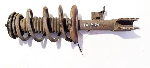 Citroen Berlingo Front shock absorber/damper 