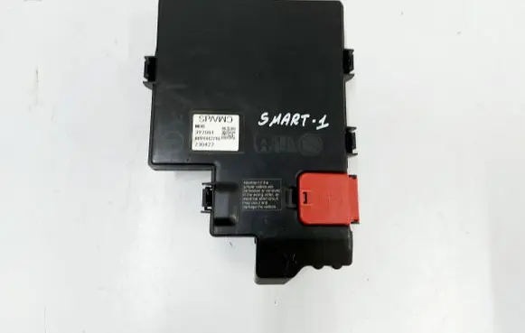 Smart #1 Positive cable (battery) 8894442196