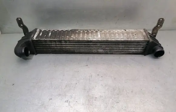 Seat Alhambra (Mk1) Intercooler radiator 7M3145805