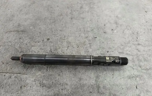 Citroen C3 Fuel injector 