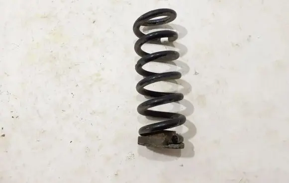 Ford Mach-E I Rear coil spring LJ9C-5560-ANF