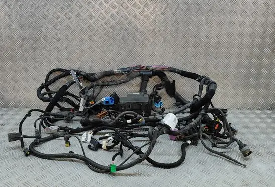 Maserati Ghibli Other wiring loom 670030455