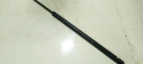 Tailgate/trunk strut/damper
