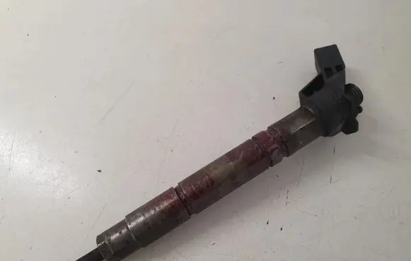 Mercedes-Benz Sprinter W906 Fuel injector A6460701187