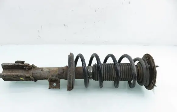 Chevrolet Captiva Front shock absorber with coil spring 