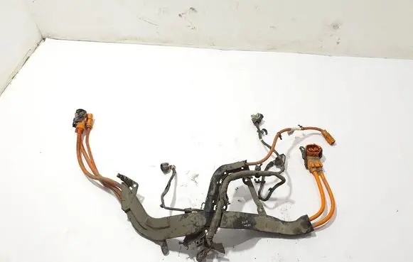 Other wiring loom