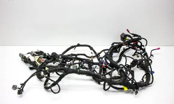Other wiring loom