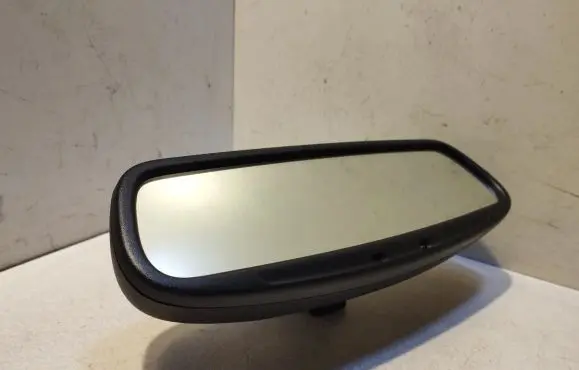 Ford Focus Rear view mirror (interior) 015624