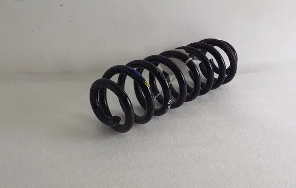Dacia Spring Rear coil spring 550200356R