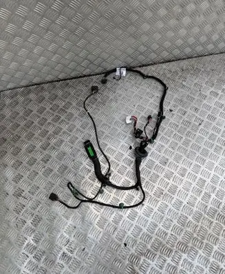 Porsche Taycan 9J1 Rear door wiring loom 9J1971693E