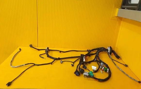 Renault Kangoo II Other wiring loom