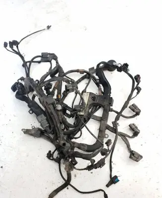 Engine installation wiring loom