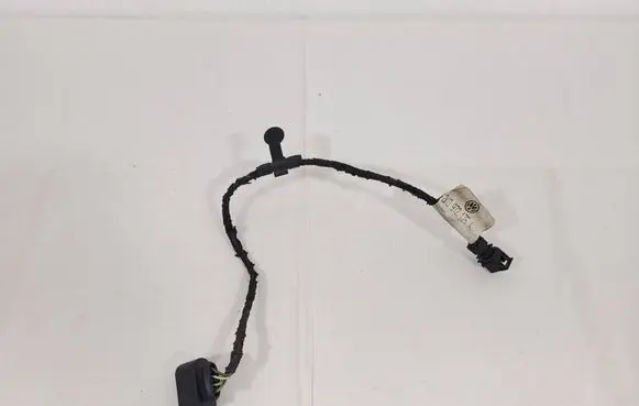 Other wiring loom