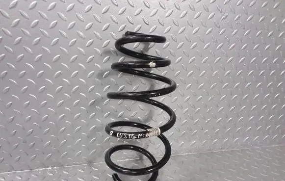 Opel Insignia A Front coil spring 22879065