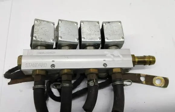 Volkswagen PASSAT B5 LP gas injector 67R010973