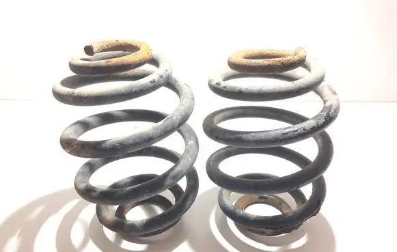 Rear coil spring