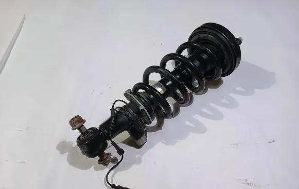 Ford Expedition Rear shock absorber with coil spring JL14-18B062-EE