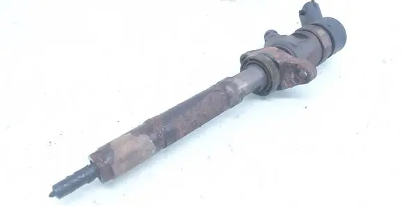 Ford Focus Fuel injector 0445110259 328480