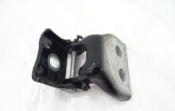 Rear door lower hinge